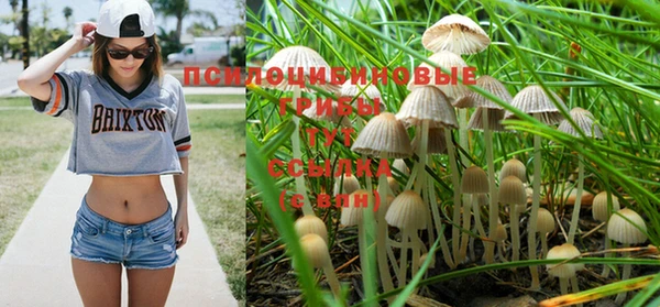 a pvp Богородск
