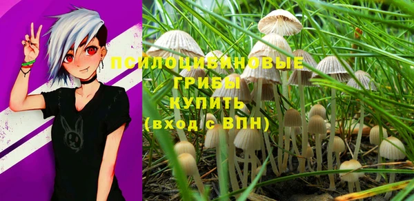 спайс Богородицк
