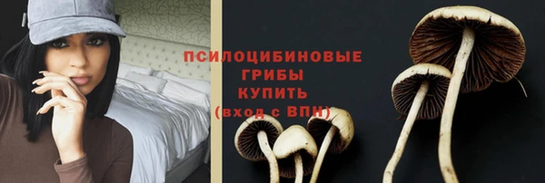 спайс Богородицк