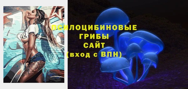 a pvp Богородск