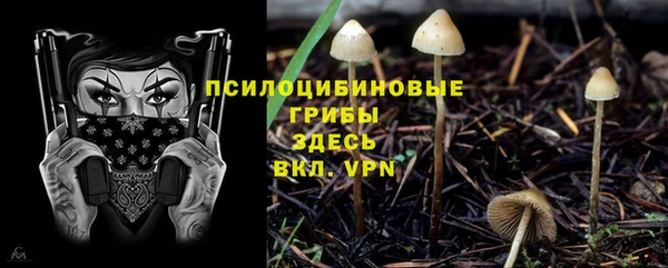 a pvp Богородск